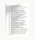 Ierusalim. Biografia unui oras