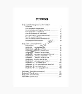 Jurnalul unui martor ocular, povestiri biblice pentru scoala duminicala