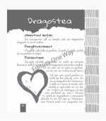 prezentare lectie cu obiect, resurse creative