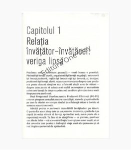 profesorul_eficient_3