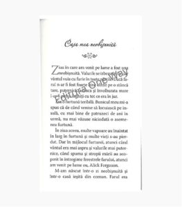salvati_din_furtuna_marii_2