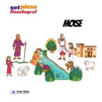 Set piese Moise