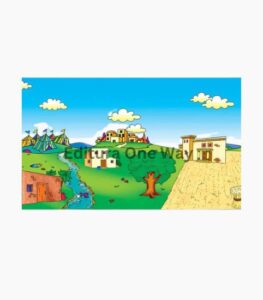 set piese viata la tara
