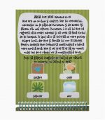arca_lui_noe_o_carte_care_se_coloreaza_cu_apa_1