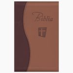 Biblia NTR - maro - inchis / deschis
