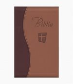 Biblia NTR - maro - inchis / deschis