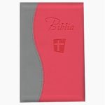 Biblia NTR - roz / gri
