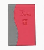 Biblia NTR - roz / gri