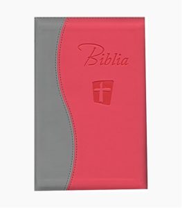 Biblia NTR - roz / gri