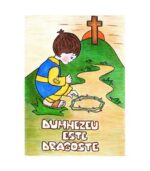 Material auxiliar pentru ghidul metodic