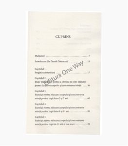 dezvoltarea_inteligentei_emotionale_a_copiilor_1
