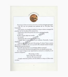 sablon-carte-ow-min-25