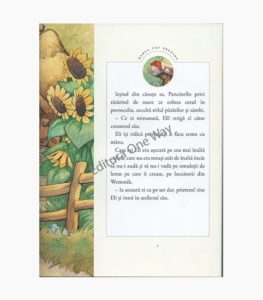 sablon-carte-ow-min-27