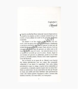 printesa_si_curdie_1