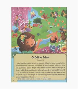 sablon-carte-ow-min-10
