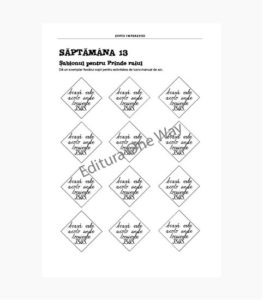 lectii biblice captivante, lectii biblice pentru scoala duminicala, regele inimilor, Lucrarea Domnului Isus