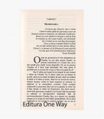 sablon-carte-ow-min-23