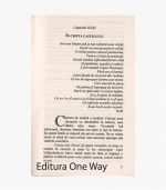 sablon-carte-ow-min-29