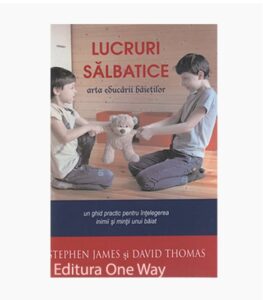 Lucruri salbatice arta educarii baietilor