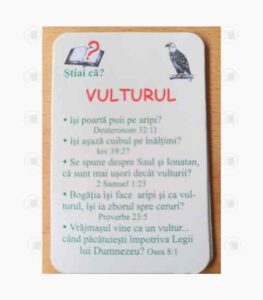 Joc Lumea necuvantatoare a Bibliei