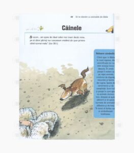 Sa ne distram cu animalele