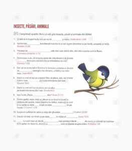 Jocuri biblice pentru copii isteti_2-min (1)