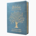 Biblia Speranta in Suferinta albastru
