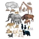 Set piese animale salbatice
