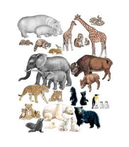 Set piese animale salbatice