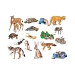 Set piese animale din desert