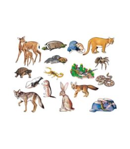 Set piese animale din desert