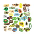Set piese viermi si insecte