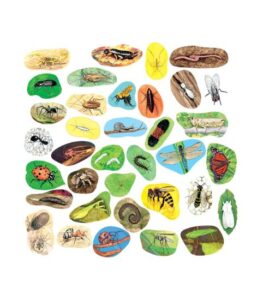 Set piese viermi si insecte