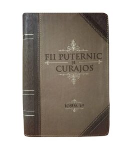 Jurnal fii puternic și curajos