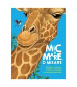Mic si Mare o mirare