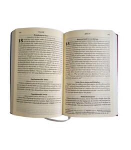 Noul Testament EDCR Roman-Englez