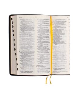 Biblia NTR neagra fara fermoar pagini aurii