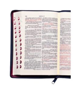 Biblia SBIR Cornilescu roz cu fermoar, pagini argintii