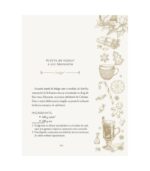 Cutia cu pantofi devotional de advent
