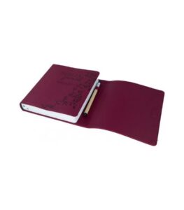 Biblia Jurnal Artistic