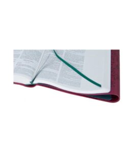 Biblia Jurnal Artistic