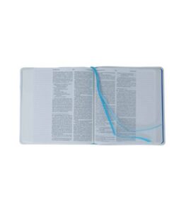 Biblia Jurnal Select