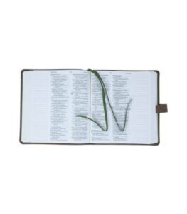 Biblia Jurnal Rustic